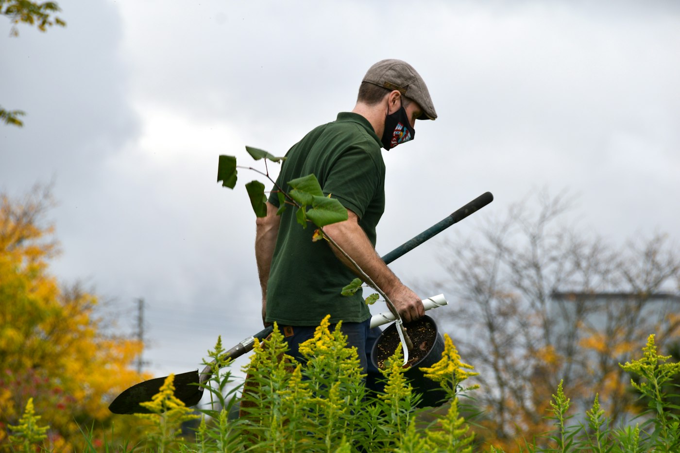A landscaper carrying a young tree and a shovel